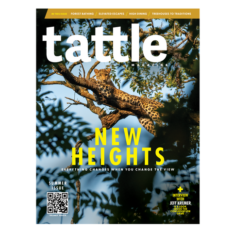Summer Issue: Vol 5 Issue 16 - PRINT ISSUE
